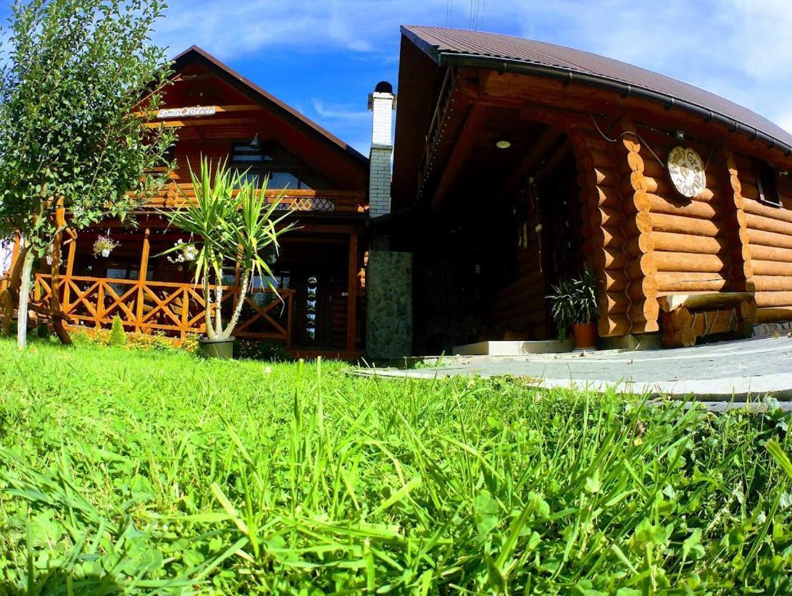 Family Green Sasovka (Transcarpathia) Exterior foto