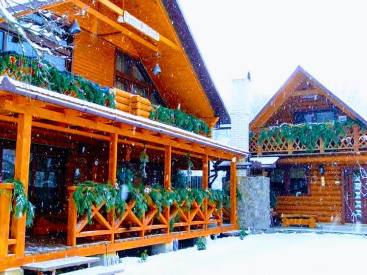 Family Green Sasovka (Transcarpathia) Exterior foto