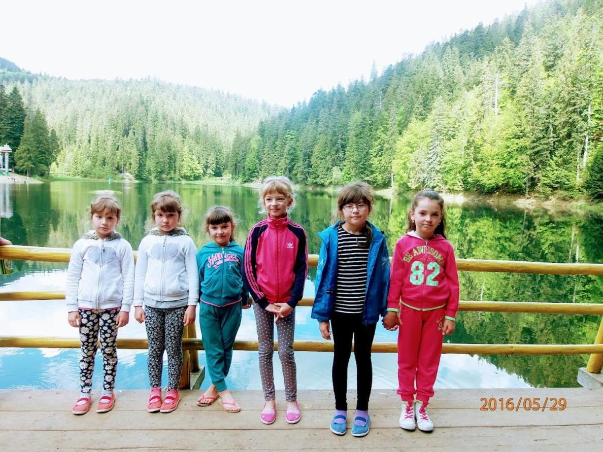 Family Green Sasovka (Transcarpathia) Exterior foto
