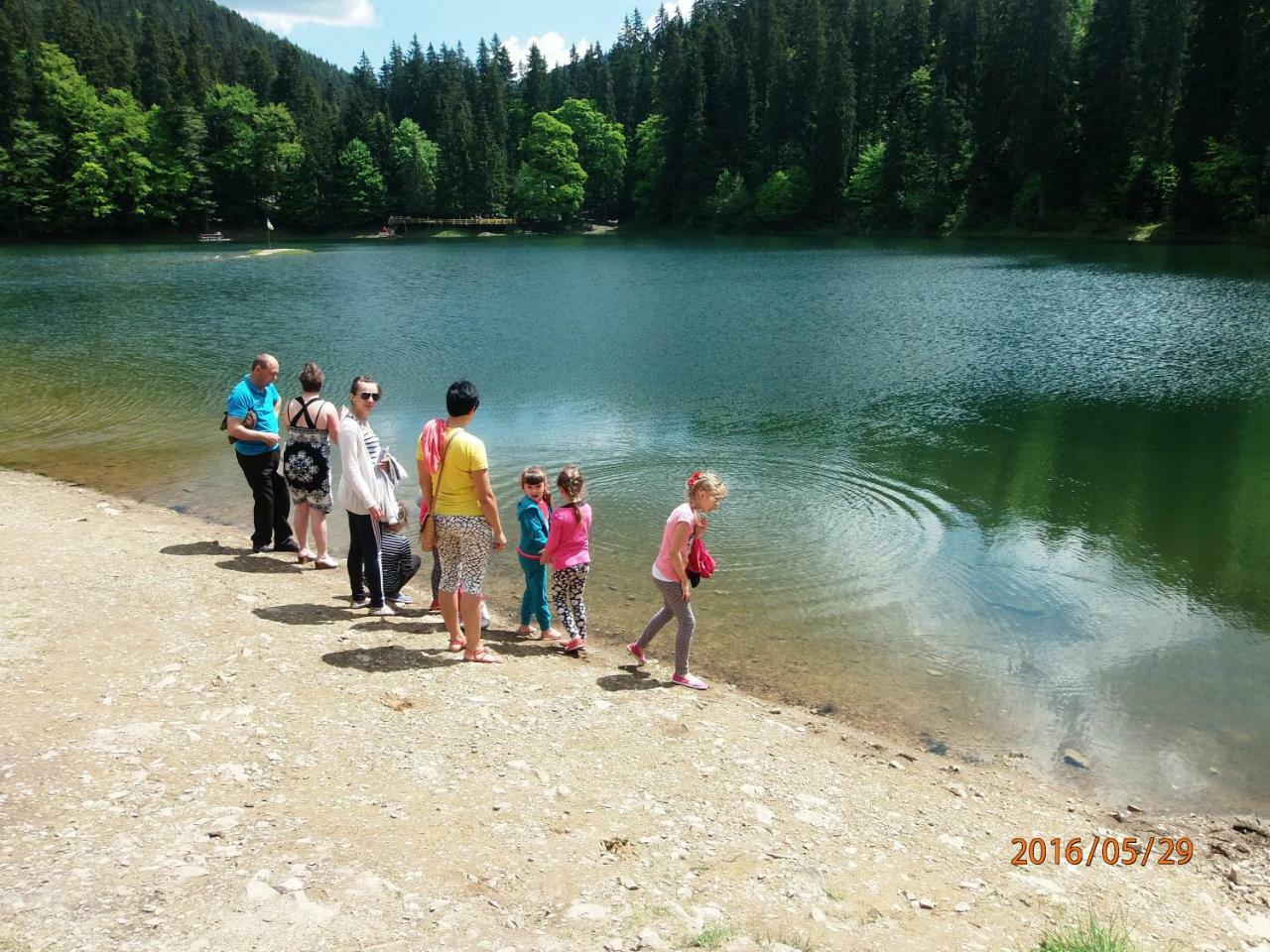 Family Green Sasovka (Transcarpathia) Exterior foto