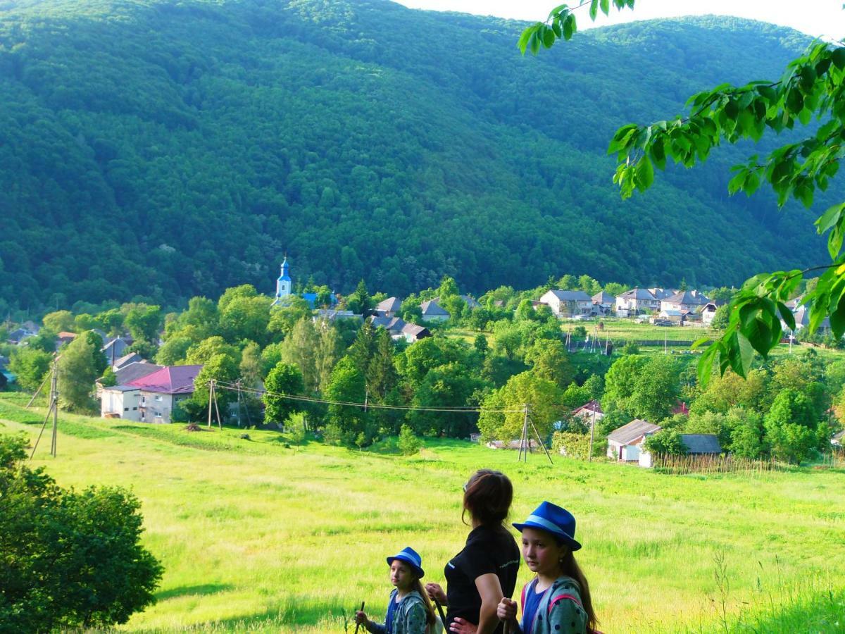 Family Green Sasovka (Transcarpathia) Exterior foto